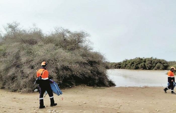 أخبار قطر | حملة تنظيف موسعة في الشواطئ ومواقع التخييم | عيون الجزيرة قطر