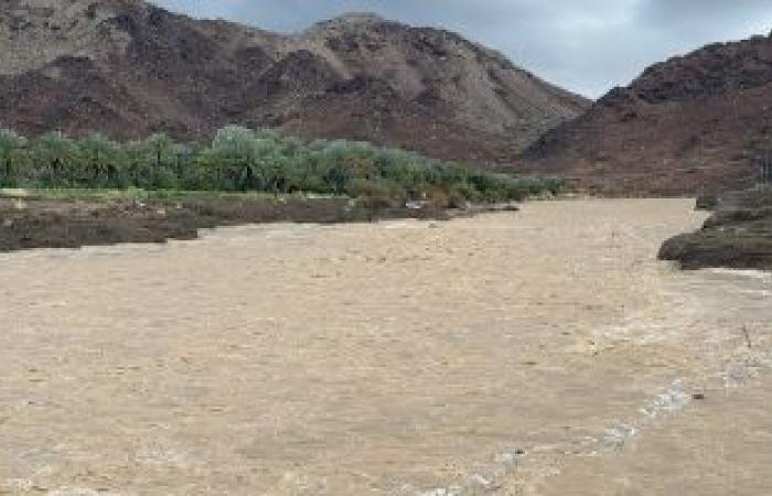 أخبار سلطنة عمان | هطول أمطار غزيرة على ولايات محافظة الظاهرة | عيون الجزيرة الاخبارية عمان