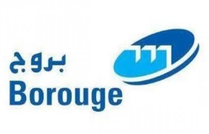 «بروج» مع «بورياليس» تكملان عملية الاندماج