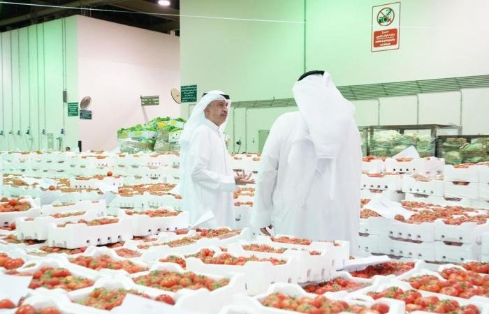 أخبار الكويت | وزير التجارة يقوم بجولة ميدانية للاطمئنان على إنتاج محصول الطماطم | عيون الجزيرة الكويت