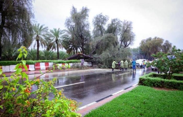 الامارات الان | «بلدية العين» تطبق منظومة متكاملة للاستجابة للحالة الجوية | عيون الجزيرة الامارات