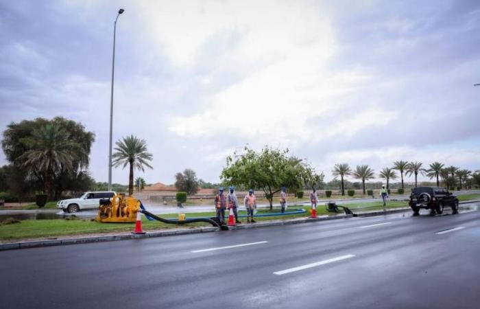 الامارات الان | بلدية العين تتعامل مع 861 بلاغاً طارئاً | عيون الجزيرة الامارات