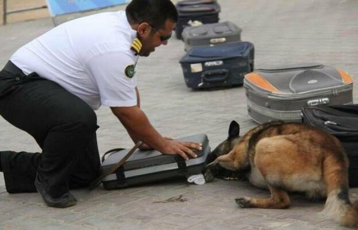 642 عملية ضبط في المنافذ الجمركية خلال أسبوع.. أبرزها الأسلحة والمخدرات