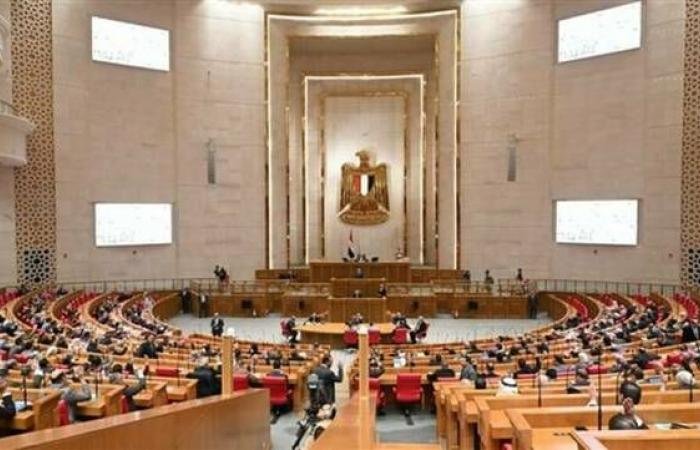 مجلسا النواب والشيوخ: أمن الخليج والأردن جزء لا يتجزأ من الأمن القومي المصري