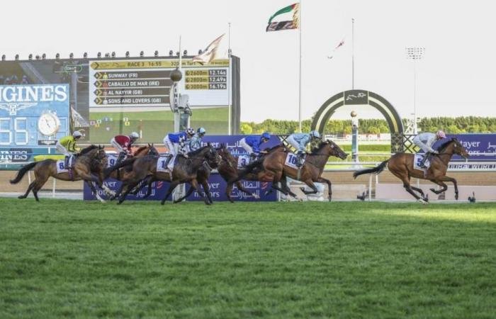 الرياضة الان | كأس دبي للخيول .. رسالة ثقة إلى العالم في زمن الأزمات | عيون الجزيرة الرياضي