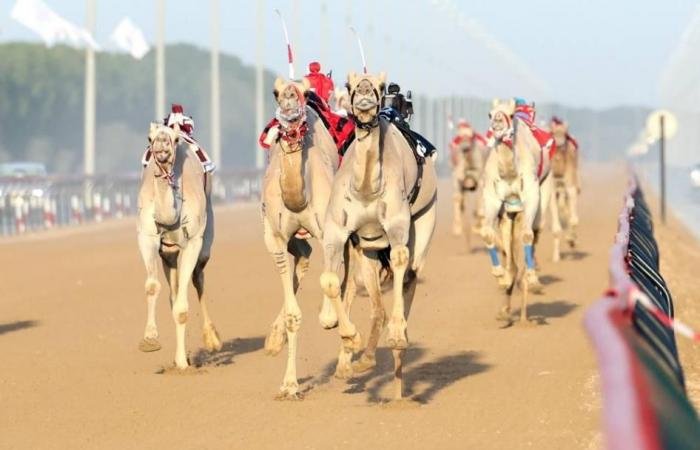 الرياضة الان | «العاصفة» و«الشيحانية» تتألقان في أشواط عمالقة ختامي المرموم | عيون الجزيرة الرياضي