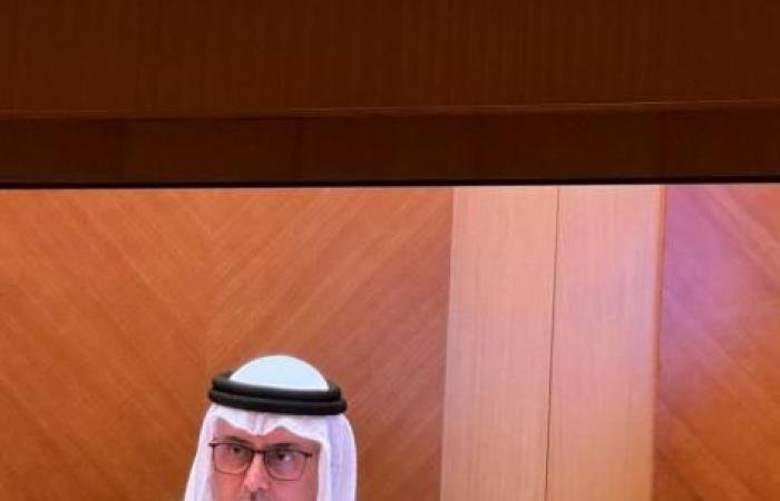 الامارات الان | العور: 24% نسبة التوطين في مؤسسات التعليم العالي الوطنية | عيون الجزيرة الامارات