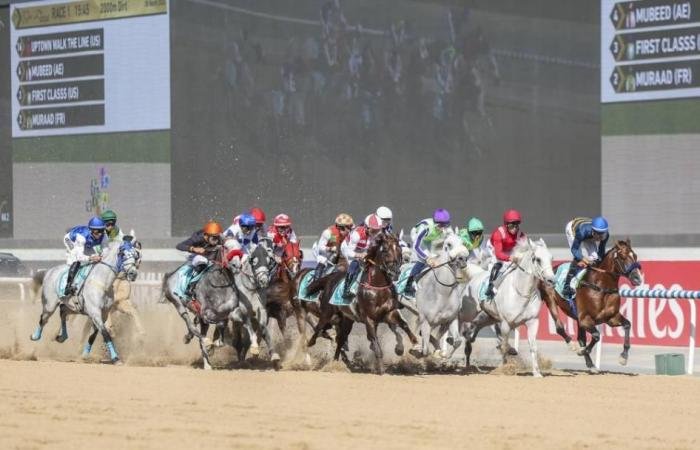 الرياضة الان | «ميدان» يستضيف السباق التجريبي الختامي للخيول العربية | عيون الجزيرة الرياضي