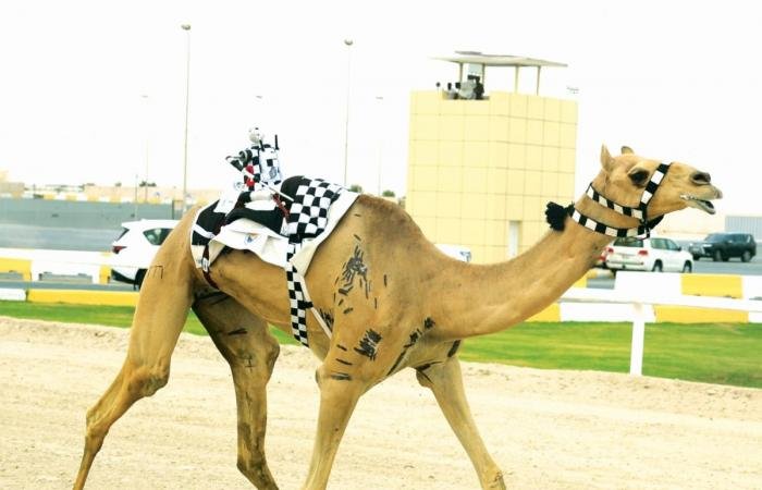 الرياضة في قطر | منافسات قوية ومثيرة بختام المحلي الثامن | عيون الجزيرة الاخبارية