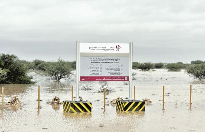أخبار قطر | الأمطار الموسمية وجهود الرقابة تعيدان للبر عافيته | عيون الجزيرة قطر