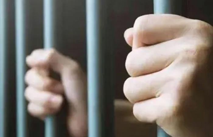 أخبار الكويت | حبس مغرد وهمي سنتين للتطاول على مسند الإمارة | عيون الجزيرة الكويت