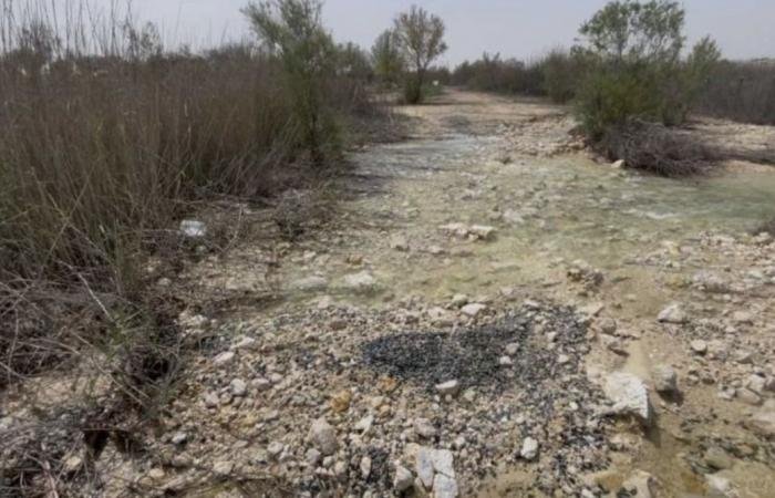 أخبار قطر | وزارة البيئة: ضبط شركة قامت بتفريغ مياه صرف صحي معالجة في المزروعة | عيون الجزيرة قطر