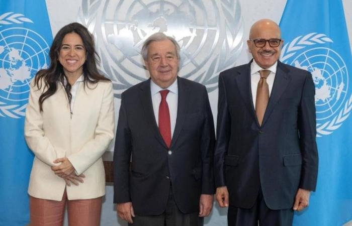 الامارات الان | الإمارات والبحرين تؤكدان ضرورة استعادة حرية الملاحة بمضيق هرمز | عيون الجزيرة الامارات