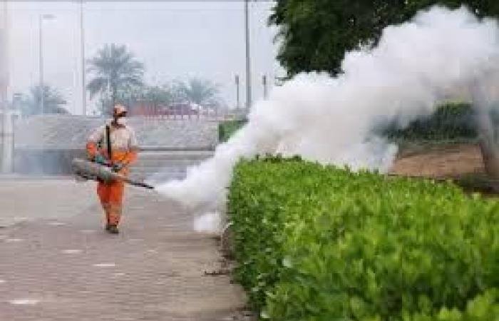الامارات الان | الشارقة.. إرشادات لمكافحة البعوض خلال موسم الأمطار | عيون الجزيرة الامارات