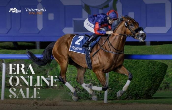 الرياضة الان | مزاد هيئة الإمارات لسباق الخيل يسجل زيادة 154% | عيون الجزيرة الرياضي