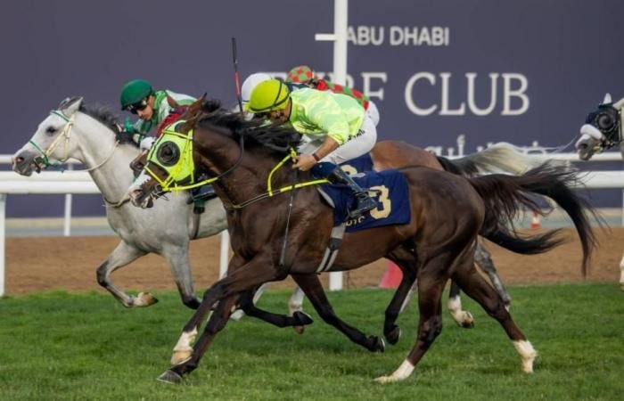 الرياضة الان | 109 خيول في الحفل الخامس عشر بمضمار أبوظبي | عيون الجزيرة الرياضي