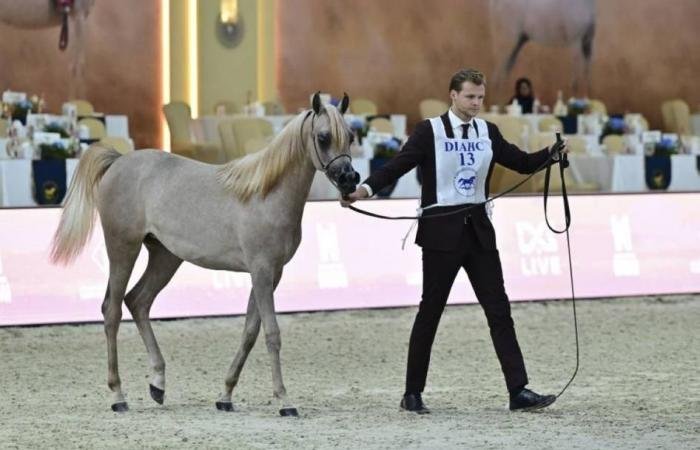 الرياضة الان | المرابط الإماراتية تتألق في افتتاح بطولة دبي الدولية للجواد العربي | عيون الجزيرة الرياضي