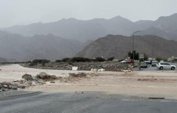 أخبار سلطنة عمان | المركز الإحصائي لدول "التعاون": تحولات جذرية في المشهد المناخي وجهود الاستدامة في المنطقة | عيون الجزيرة الاخبارية عمان