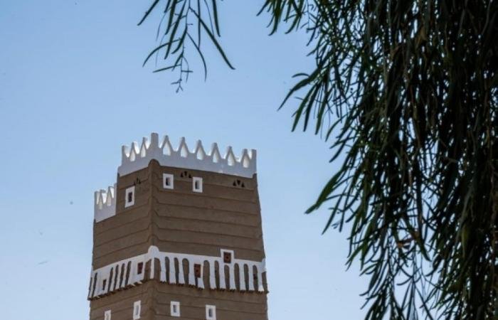 أخبار السعودية | 12 قصرا طينيا تروي حكايات 300 عام بقرية المشكاة | عيون الجزيرة السعودية الان