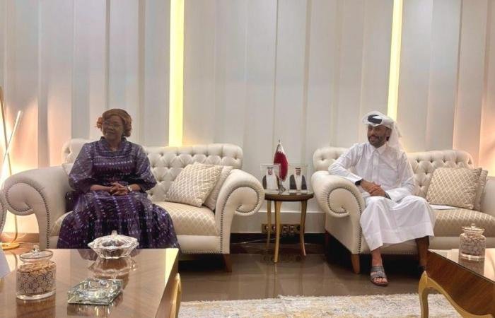 أخبار قطر | سفير قطر يشارك باجتماع وزيرة الشؤون الخارجية في كوت ديفوار مع سفراء دول مجلس التعاون | عيون الجزيرة قطر