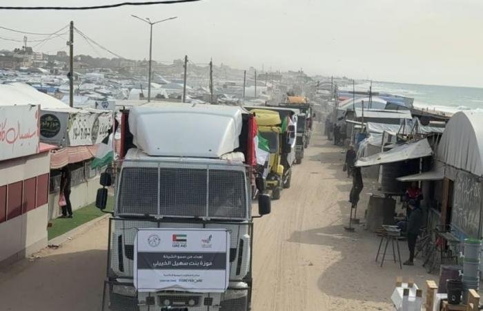 الامارات الان | الإمارات تدعم «صحة غزة» بشحنة أدوية بـ2.7 مليون درهم (فيديو) | عيون الجزيرة الامارات