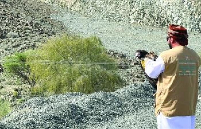 أخبار سلطنة عمان | إطلاق طيور جارحة إلى بيئاتها الطبيعية بمحافظة جنوب الباطنة | عيون الجزيرة الاخبارية عمان