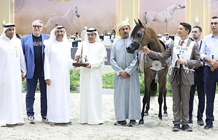 الرياضة الان | مربط دبي يختتم موسماً ذهبياً بالتألق في بطولة دبي للجواد العربي | عيون الجزيرة الرياضي