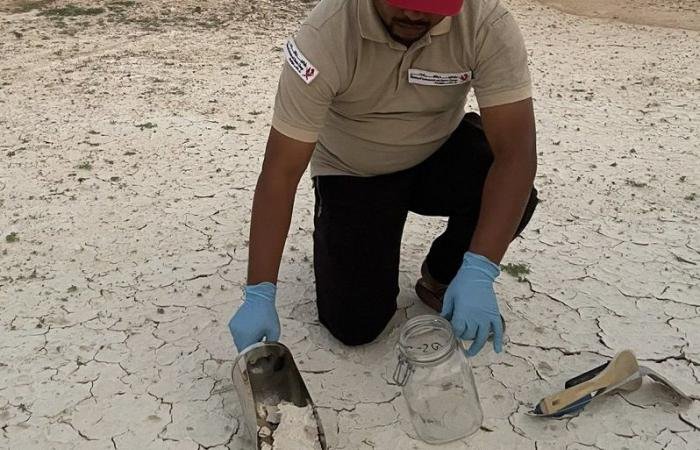 أخبار قطر | البيئة تتفاعل مع ملاحظة أحد المواطنين بشأن وجود مادة بيضاء بإحدى مناطق الدولة  | عيون الجزيرة قطر