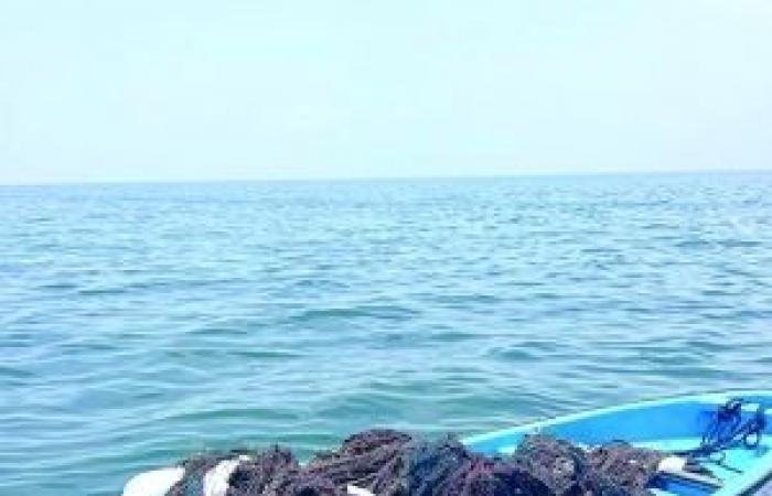 أخبار سلطنة عمان | حملة لتنظيف بيئات الشعاب المرجانية في محمية جزر الديمانيات | عيون الجزيرة الاخبارية عمان