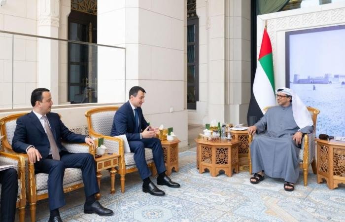 الامارات الان | منصور بن زايد يبحث العلاقات مع نائب رئيس وزراء أوزبكستان | عيون الجزيرة الامارات