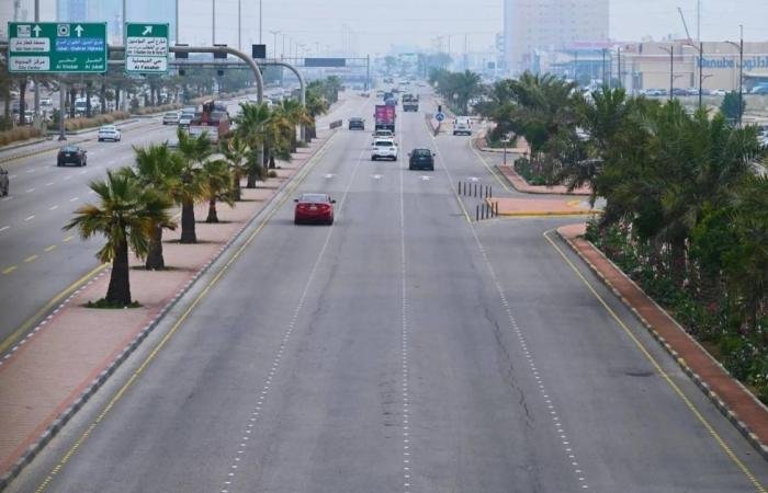 أخبار السعودية | زراعة 3.3 ملايين شجرة بالشرقية | عيون الجزيرة السعودية الان