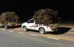 أخبار السعودية | ضبط مخالفين لنظام البيئة | عيون الجزيرة السعودية الان