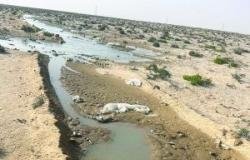 أخبار سلطنة عمان | ضبط مصنع مخالف للاشتراطات في جنوب الشرقية | عيون الجزيرة الاخبارية عمان