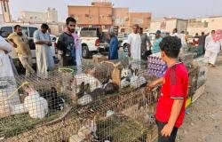 أخبار السعودية | مطالبات بإنشاء سوق للطيور وبلدية الدرب: خارج اختصاصنا | عيون الجزيرة السعودية الان