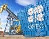أوبك+ تجدد التأكيد على تعليق زيادة الإنتاج خلال مارس المقبل