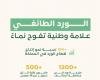 أخبار السعودية | قطاع الورد يسجل نموا بأكثر من 15% سنويا وارتفاع الطلب العالمي على الإنتاج المحلي | عيون الجزيرة السعودية الان