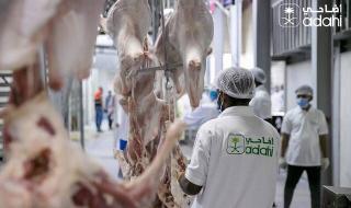 المشرف على مشروع "أضاحي": بيع أكثر من 811 ألف رأس في يوم النحر