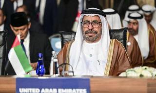 الامارات الان | الإمارات: نهجنا راسخ في تعزيز السلام والاستقرار وإنهاء التطرف | عيون الجزيرة الامارات