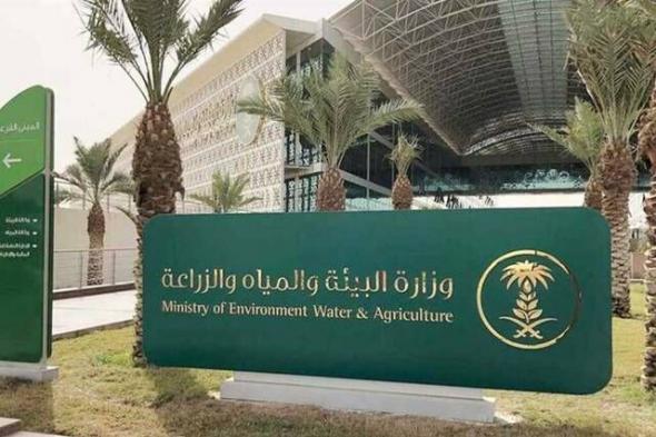 وزارة الزراعة تخصص أرضًا لإنشاء مشروع لإنتاج دواجن اللاحم في الباحة