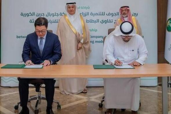 توقيع اتفاقية لتوطين إنتاج تقاوي البطاطس في السعودية